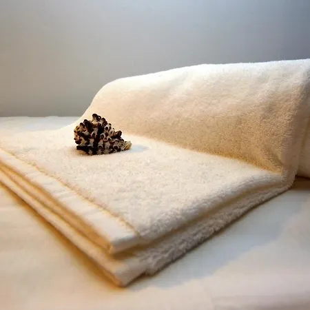 Son Of A ホステル アルブフェイラ