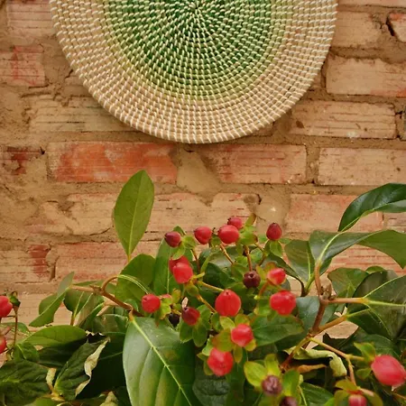 ホステル Son Of A アルブフェイラ